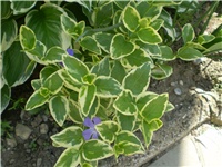 d5787846-Picture 5909.jpg